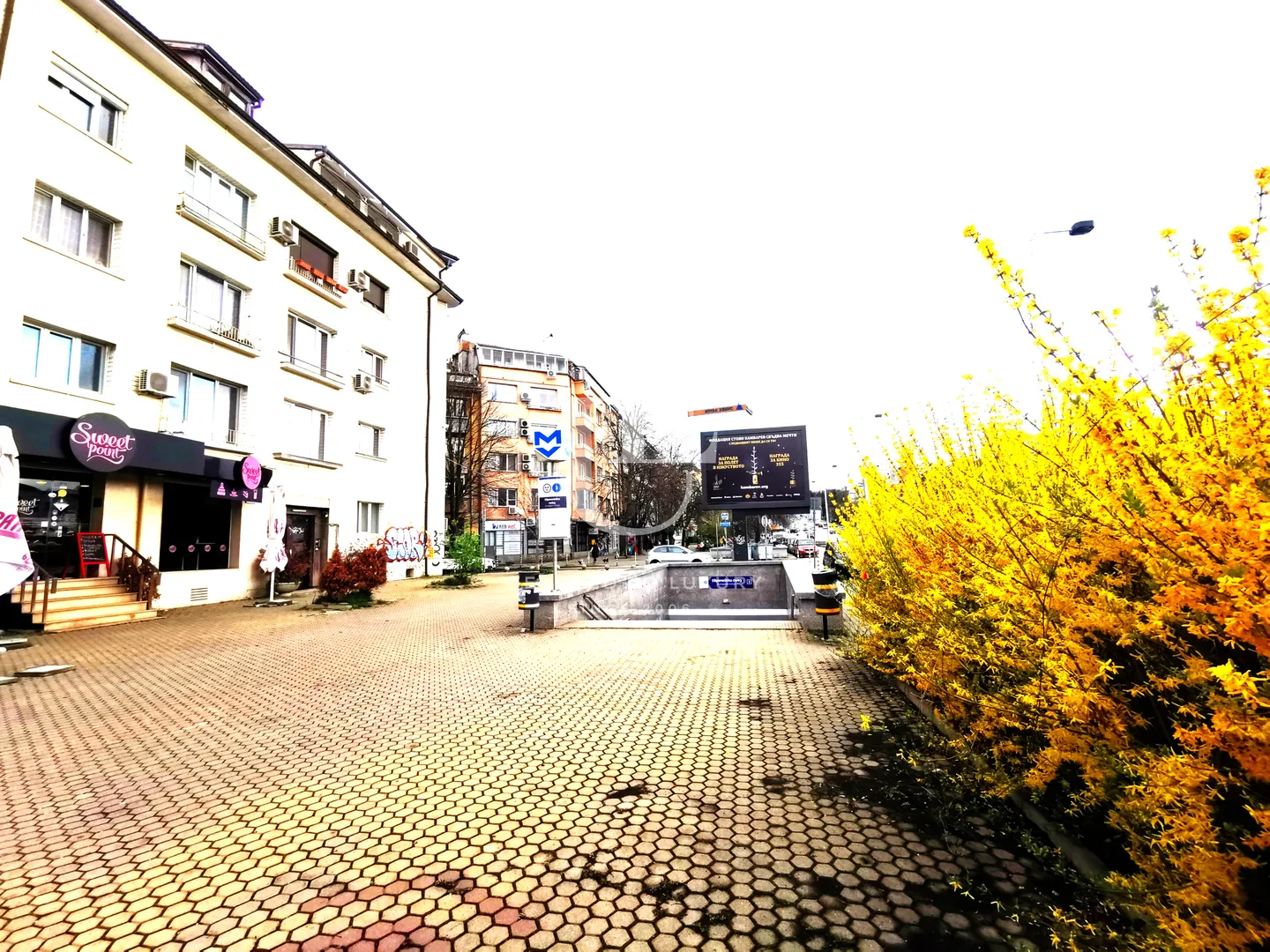 Main photo