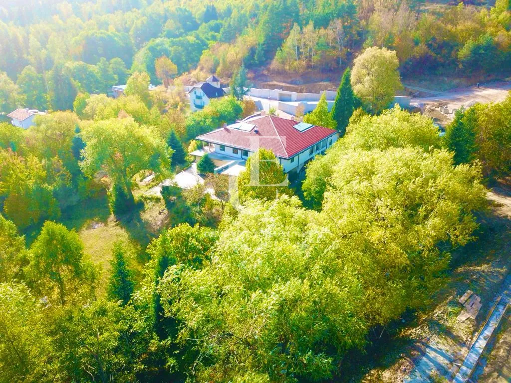 Main photo
