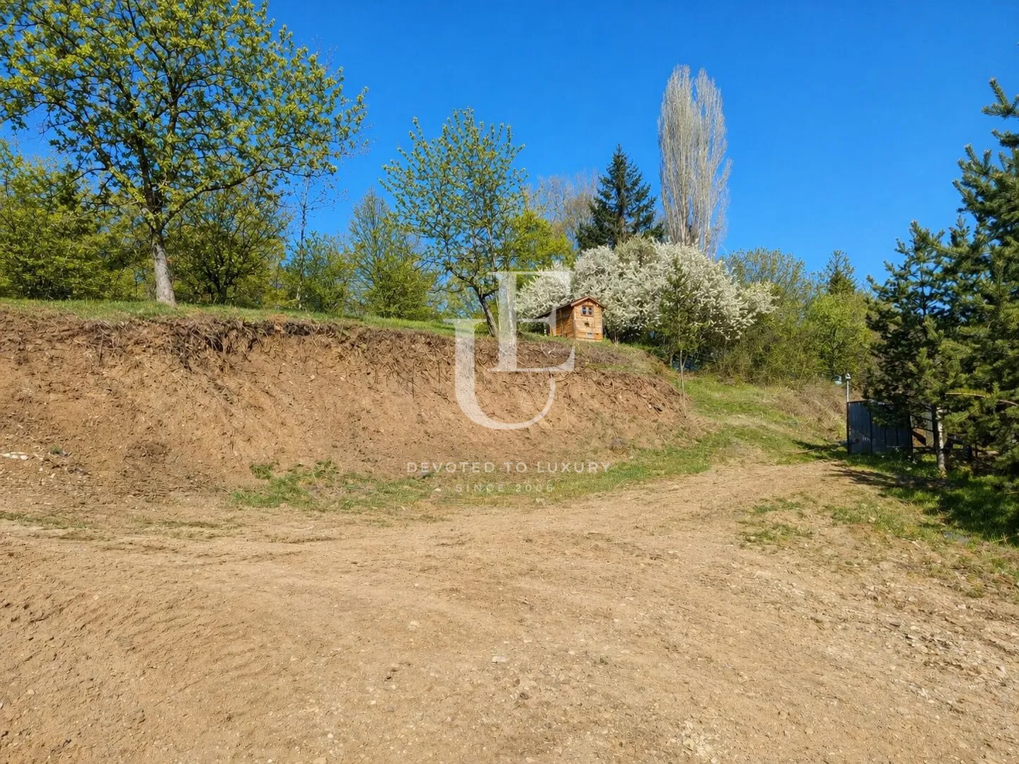 Main photo