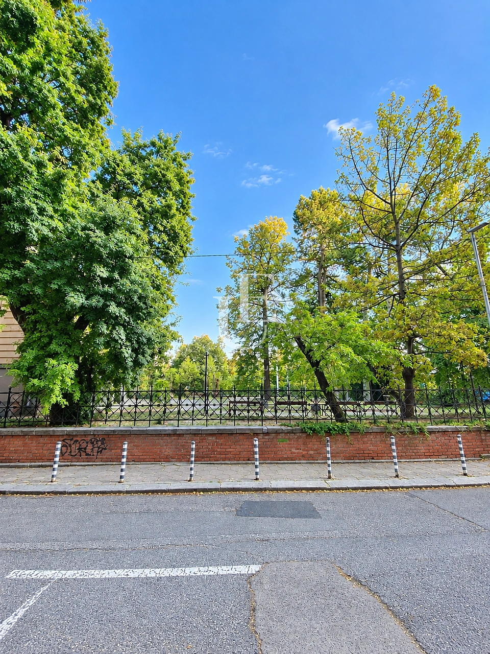 Main photo