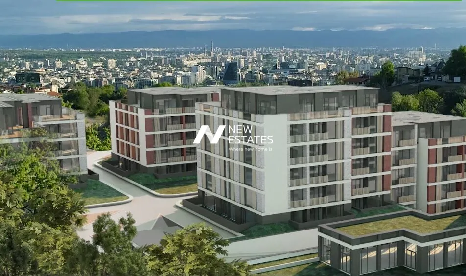 Slide 5